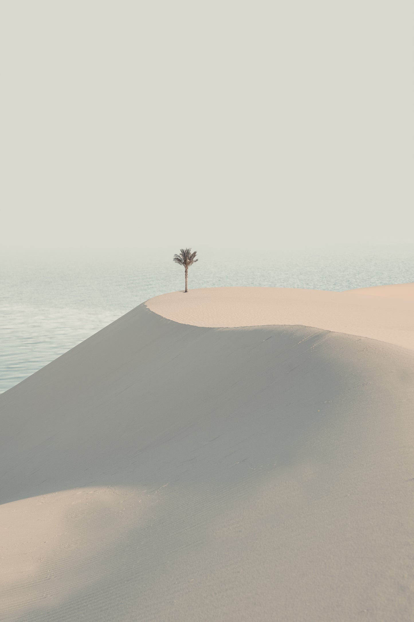 Edge of Solitude