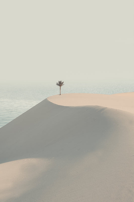 Edge of Solitude