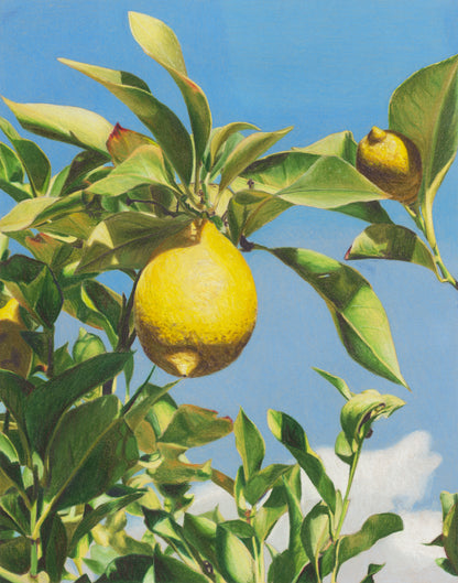 When Life Gives You Lemons