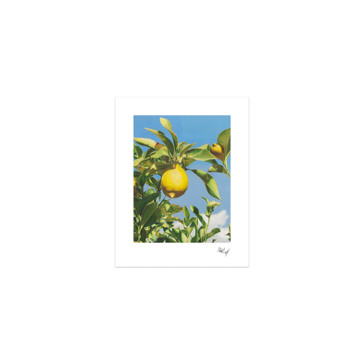 When Life Gives You Lemons