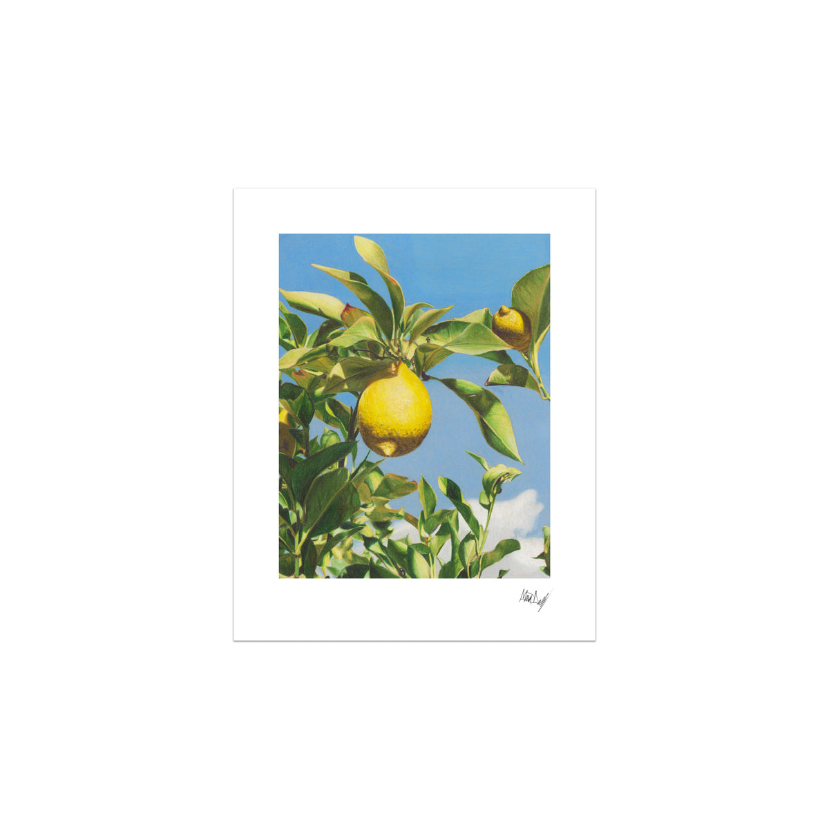 When Life Gives You Lemons