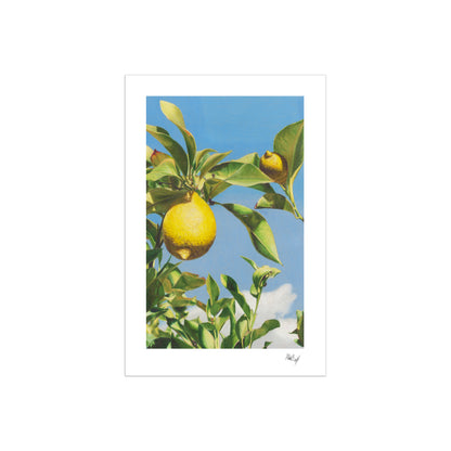 When Life Gives You Lemons