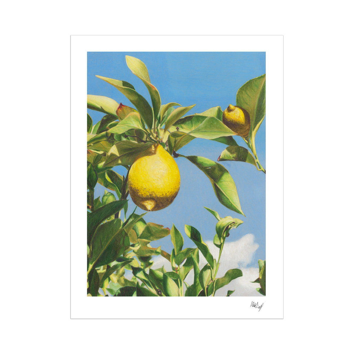 When Life Gives You Lemons