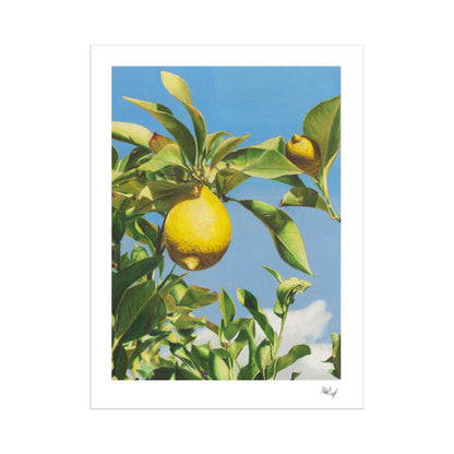 When Life Gives You Lemons